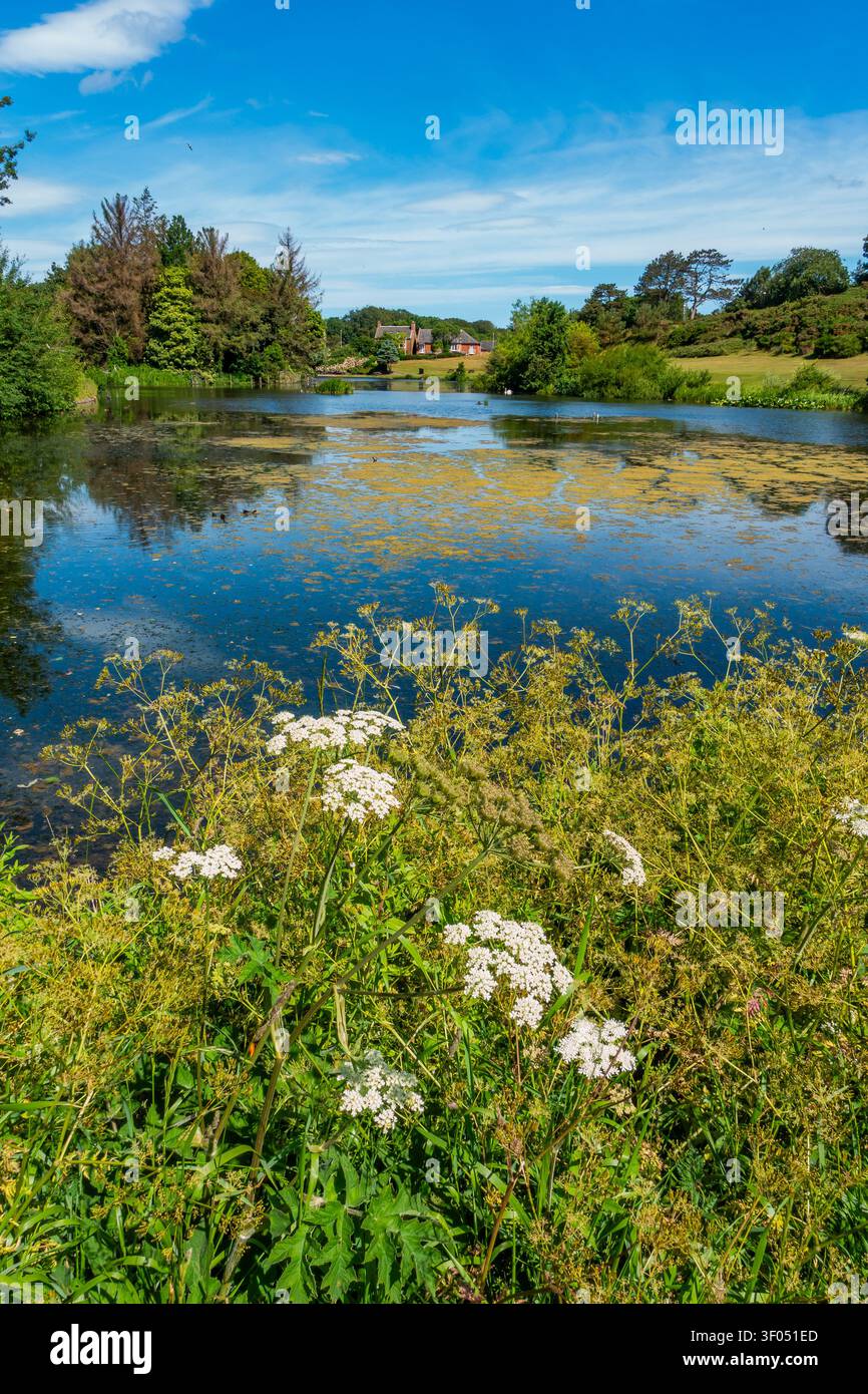 Keptie Pond à Arbroath, Angus, Écosse Banque D'Images