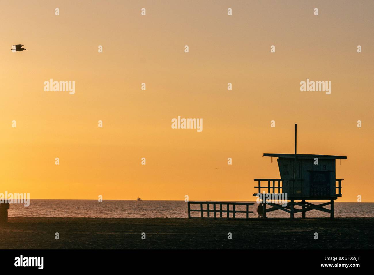 Silhouette d'une tour de sauvetage sur la plage de Santa Monica au coucher du soleil, avec une mouette en vol et l'océan Pacifique à l'horizon au-dessus de l'eau Banque D'Images