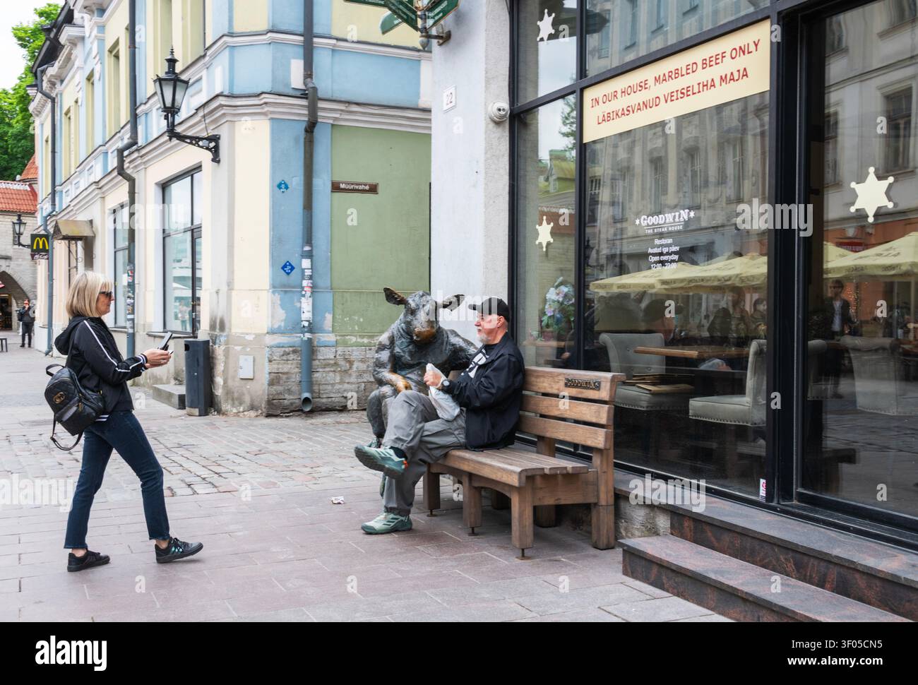 Touristes prenant des photos de la statue en bronze d'un taureau Black Angus par Tauno Kangro, assis sur un banc en bois devant le Goodwin The Steak House, Tallinn, Estonie Banque D'Images