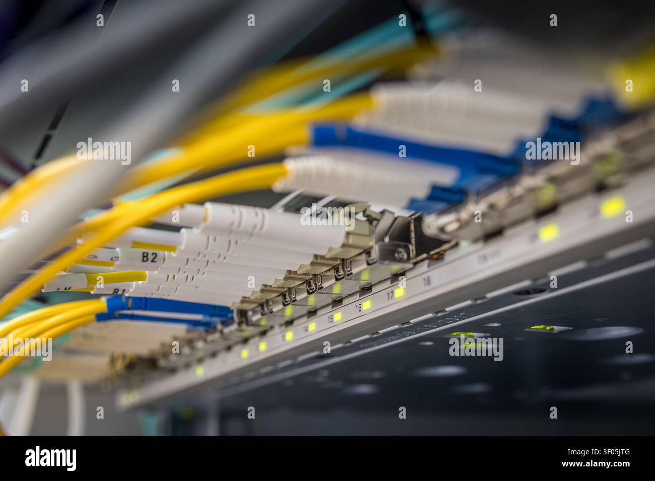 Plusieurs câbles en fibre optique blancs et jaunes étiquetés avec connecteurs LC bleus insérés dans des ports de commutateur réseau numérotés avec indicateurs LED verts Banque D'Images