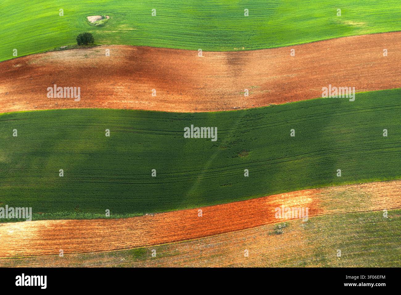 Paysage aérien de terres agricoles cultivées près de Guadalajara, montrant de vastes rangées de cultures vertes et des bandes de sol brun, formant des motifs naturels à travers la rura Banque D'Images