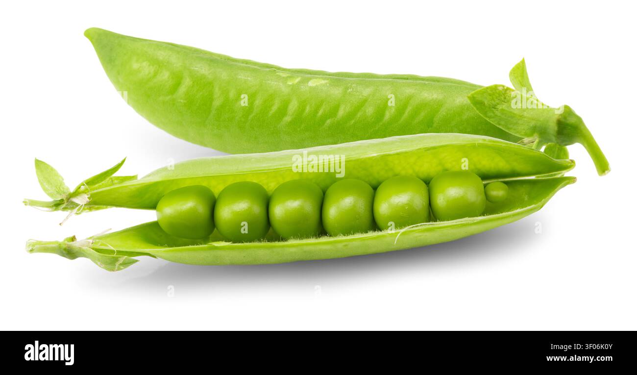 Une paire de gousses de pois verts frais avec une gousse ouverte en deux parties. Banque D'Images