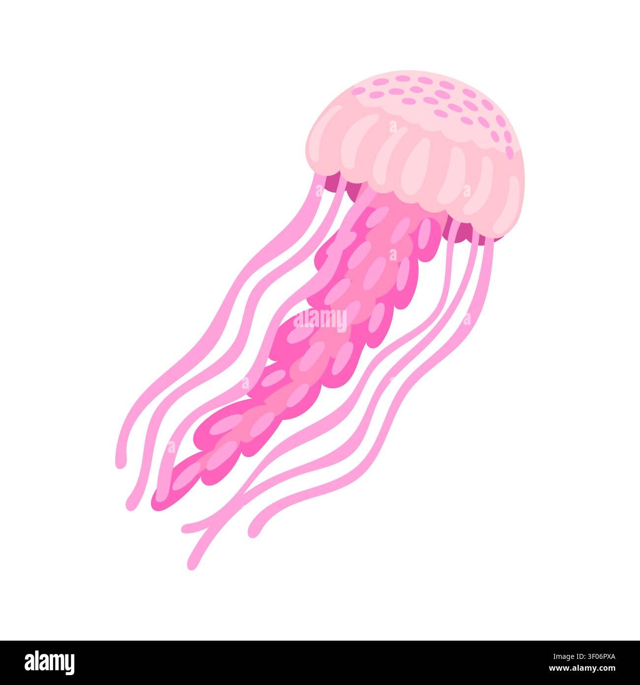 Méduse rose animal de dessin animé de la faune sous-marine Illustration de Vecteur