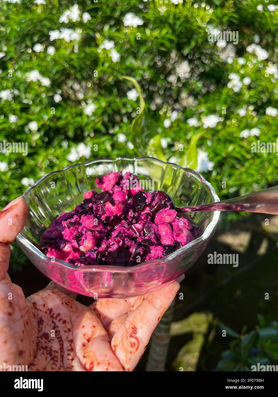 Jam Vorta bangladais traditionnel fait à partir de prunes noires fraîches. - Image de stock capturée avec un smartphone