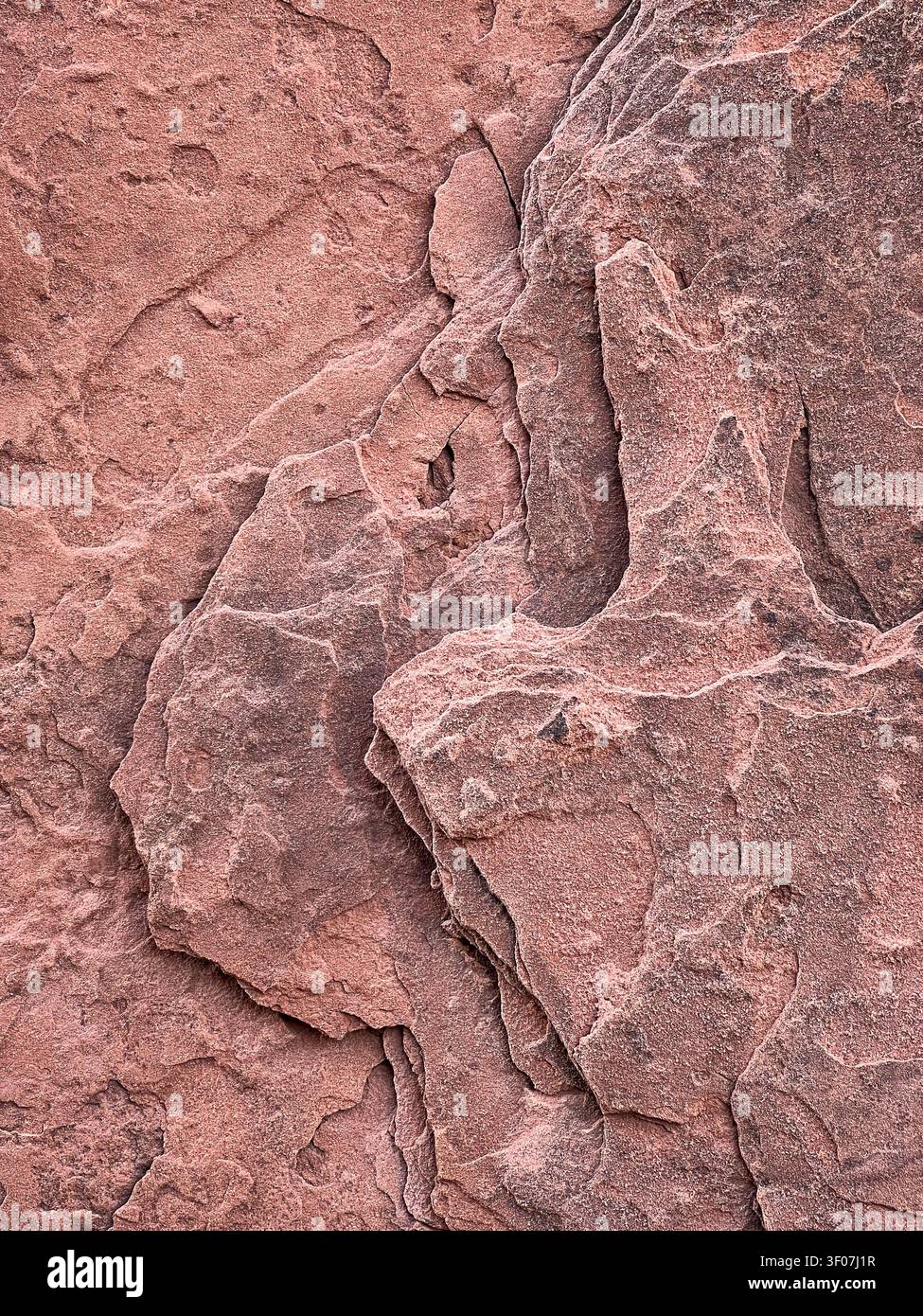 Formation rocheuse de grès navajo sur la vallée des Dieux, Utah. Banque D'Images