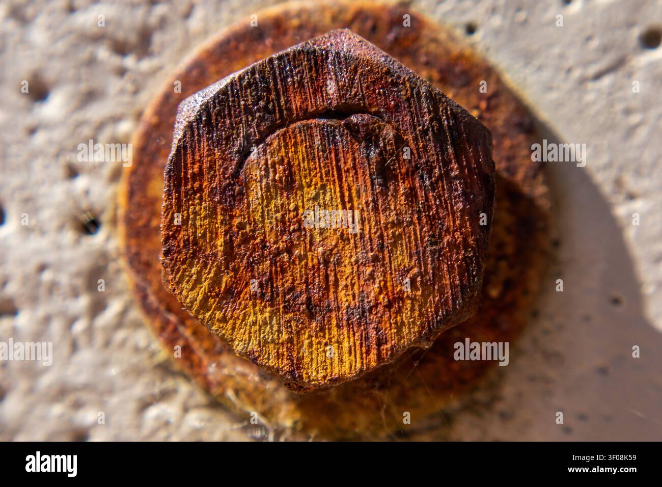 Vue macro d'une tête de boulon fortement rouillée fixée dans une surface en béton Banque D'Images