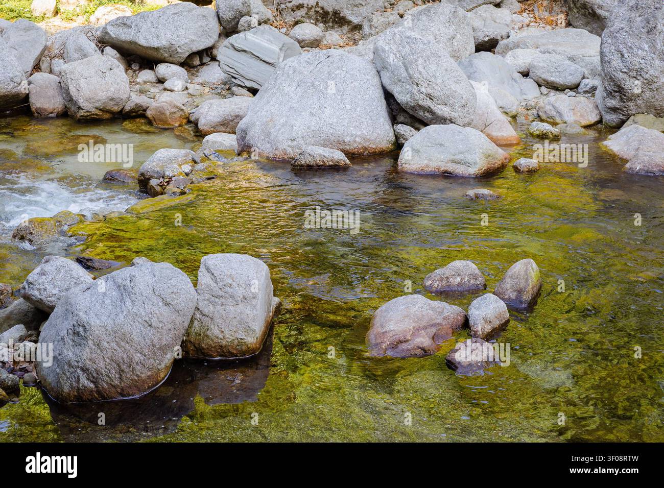 Une vue en contre-plongée d'un ruisseau de montagne clair coulant sur des rochers moussus au lac Kareri à Dharamshala, en Inde. Banque D'Images