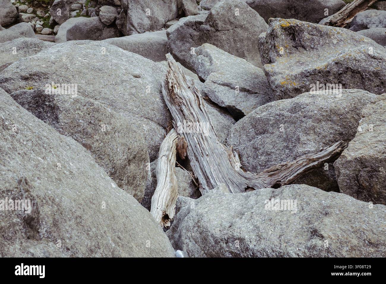 Un gros plan en contre-plongée de rondins de bois flotté usés nichés entre de gros rochers de granit gris au lac Kareri. Banque D'Images