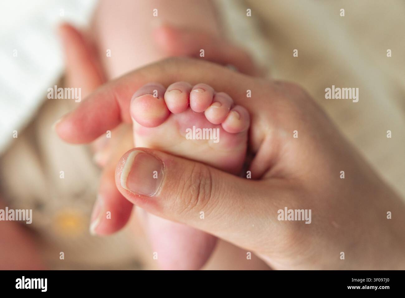 Gros plan du pied d'un nouveau-né dans la main de sa mère. Concept de soin, de protection, de tendresse et de la vie précoce Banque D'Images