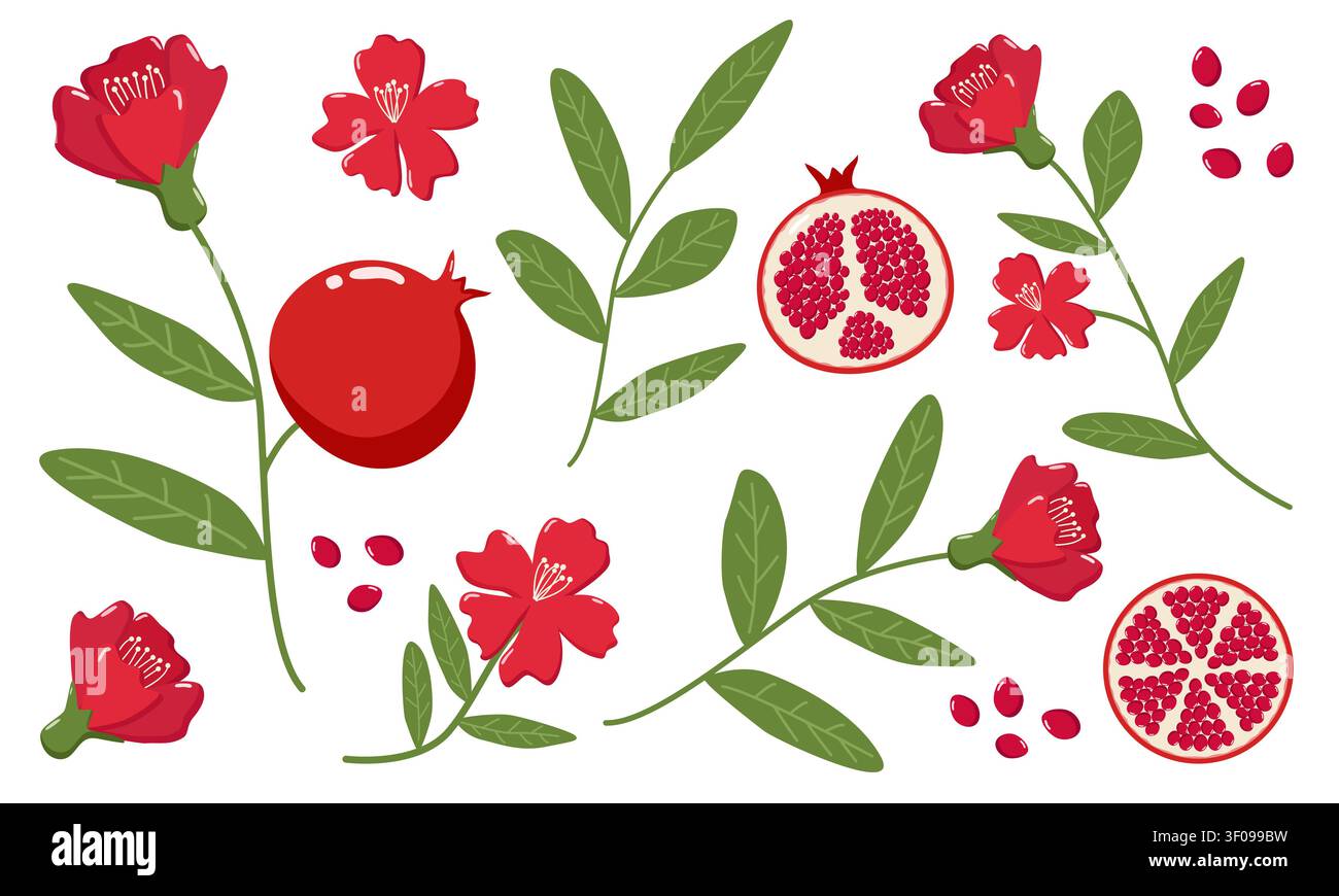 Illustration stylisée de fruits de grenade, de graines et de fleurs, symbolisant la célébration de Rosh Hashanah Illustration de Vecteur