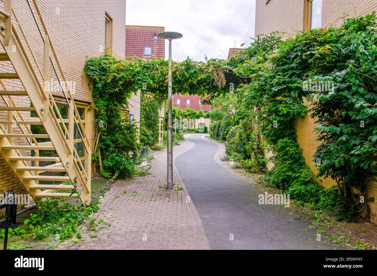 Utrecht, Pays-Bas, 5 juillet 2026 : sentier sinueux entre des façades en briques couvertes de verdure Banque D'Images