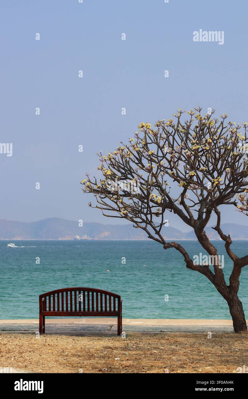 Banc en bois vide et arbre à plumeria en fleurs face à la mer. Vue de l'environnement côtier avec des montagnes au loin et des bateaux pour un éditorial de voyage. Banque D'Images
