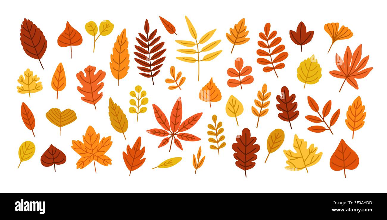 Feuille d'automne. Feuilles colorées d'automne. Simple doodle feuillage chaud rouge, jaune, orange. Assaisonner les arbres forestiers et les feuilles de brousse. Plat décoratif naturel Illustration de Vecteur