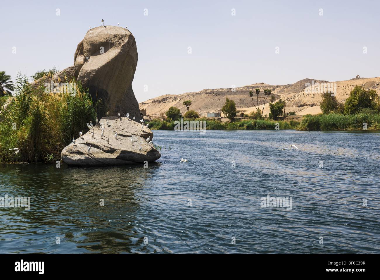 Paysage fluvial du Nil et rochers, Assouan, Haut-Égypte, Égypte Banque D'Images