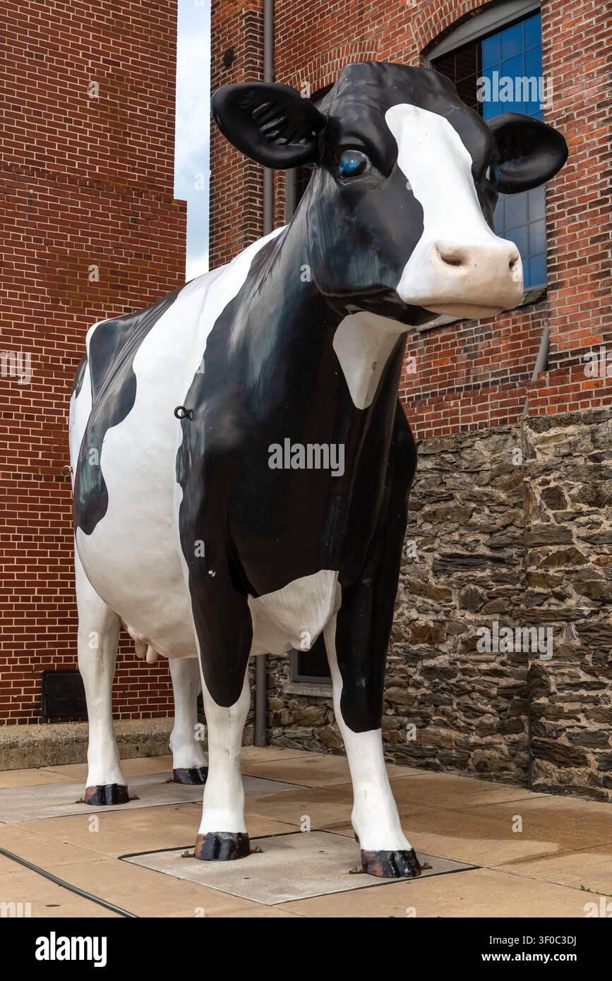 Statue géante en fibre de verre d'une vache à l'extérieur du Turkey Hill Experience à Columbia, Pennsylvanie. Banque D'Images