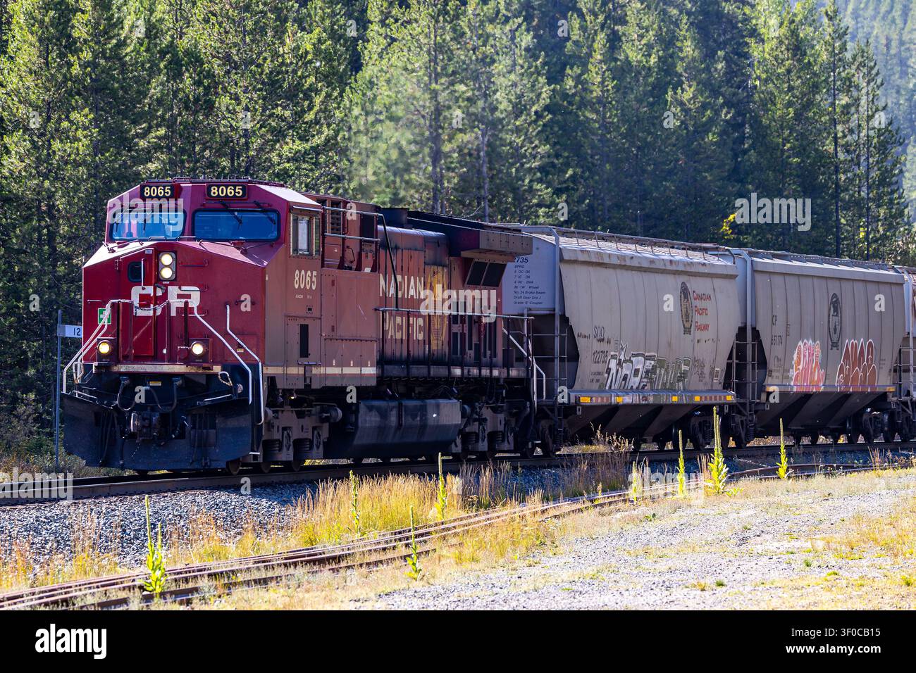 Train de marchandises Canadian Pacific mené par la locomotive 8065 traversant le spectaculaire col de Kicking Horse dans les Rocheuses canadiennes. Vue latérale avant. Banque D'Images