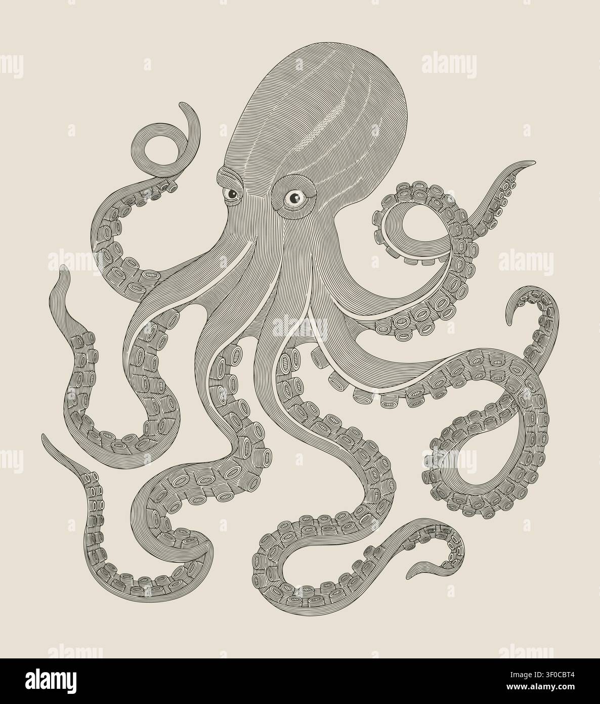 Poulpe ancien avec des tentacules ondulés, illustration de style gravure vintage Illustration de Vecteur