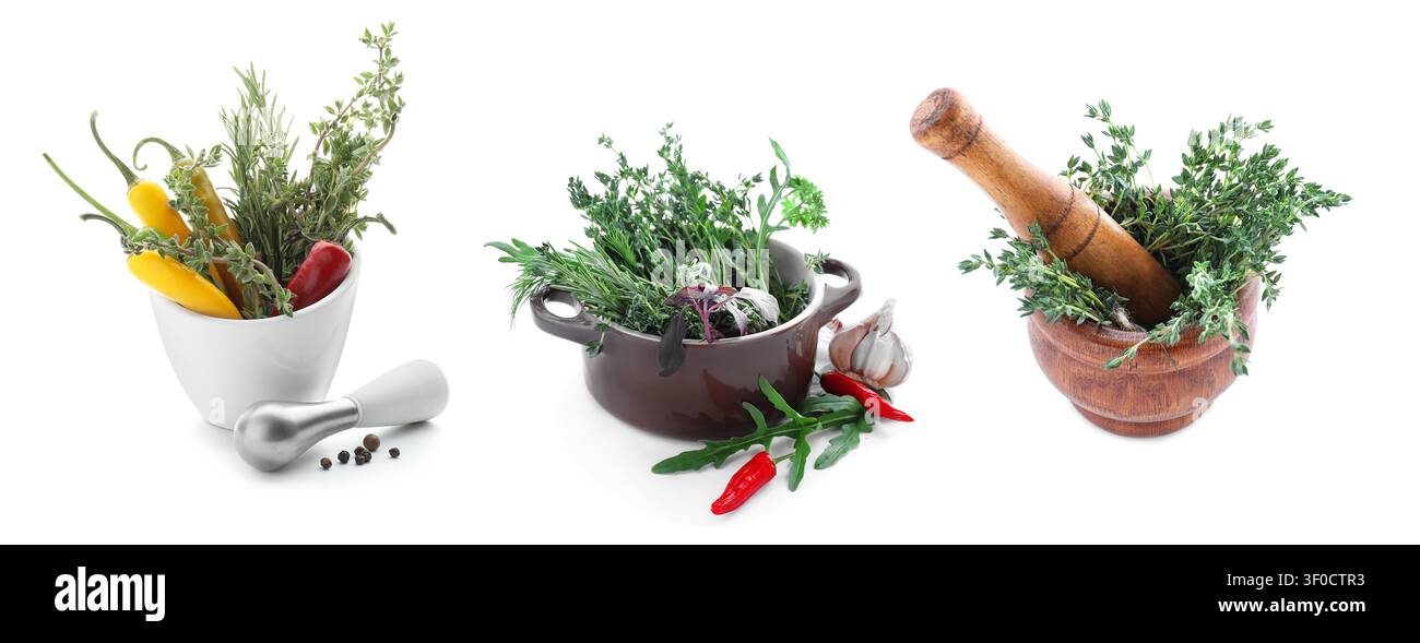 Herbes fraîches et piments dans le mortier et la casserole avec des pilons Banque D'Images