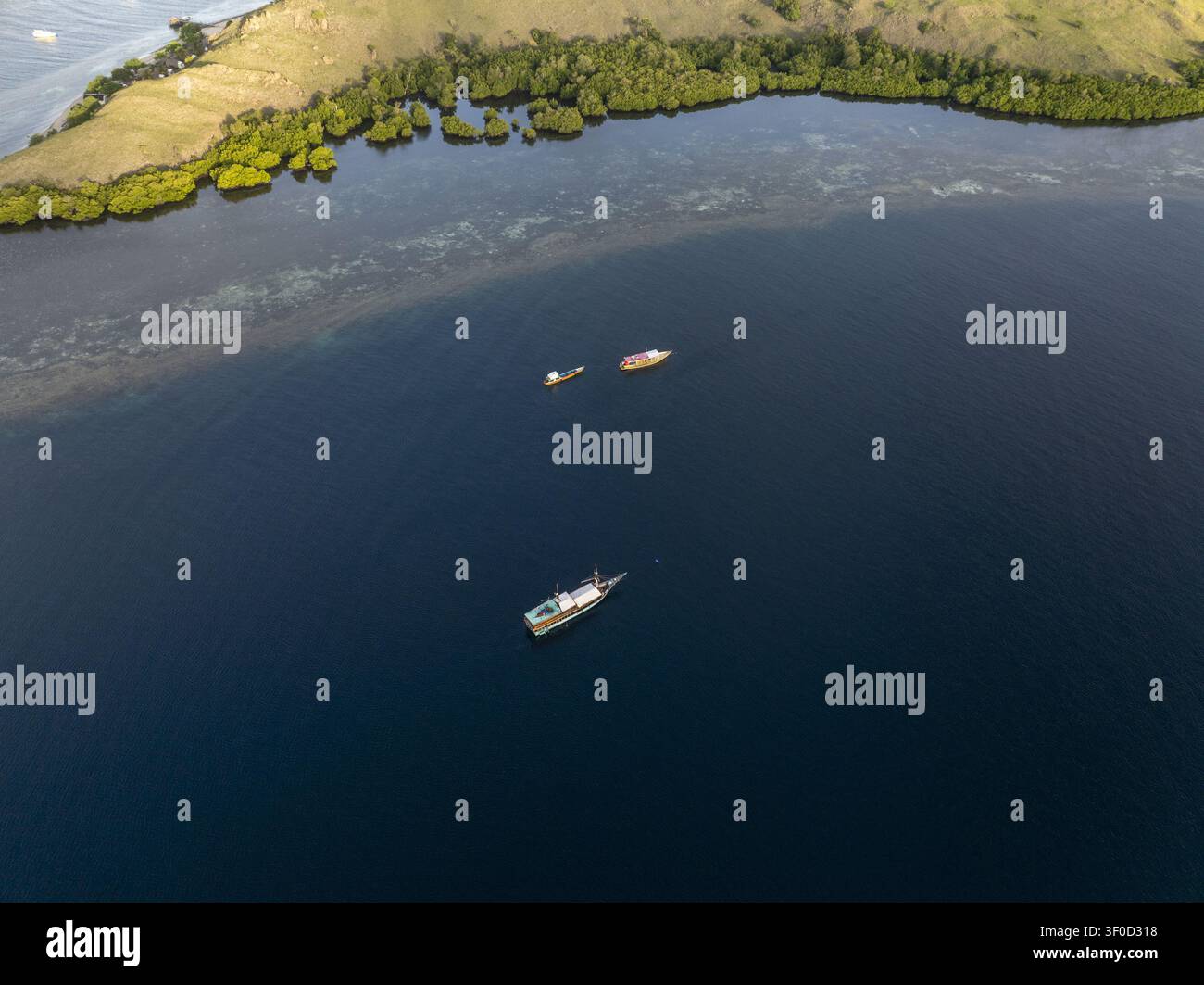 Vue aérienne de bateaux en bois ancrés dans des eaux bleues profondes au large de la côte de l'île de Komodo avec des collines verdoyantes et des mangroves à Komodo, est de Nusa Tengg Banque D'Images