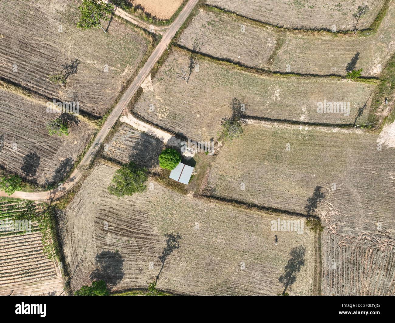 Vue aérienne de terres agricoles récoltées avec des motifs de champs ruraux. Utilisation des terres agricoles, production de cultures saisonnières et développement durable de la campagne. Banque D'Images
