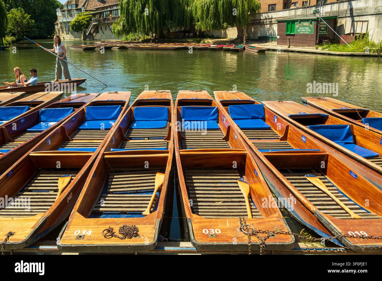 Péniches alignées sur la rivière Cam à Cambridge, Cambridgeshire, Royaume-Uni Banque D'Images