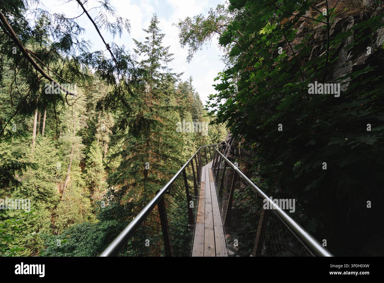 Pont de promenade sur falaise en bois entouré d'une forêt luxuriante et verte Banque D'Images