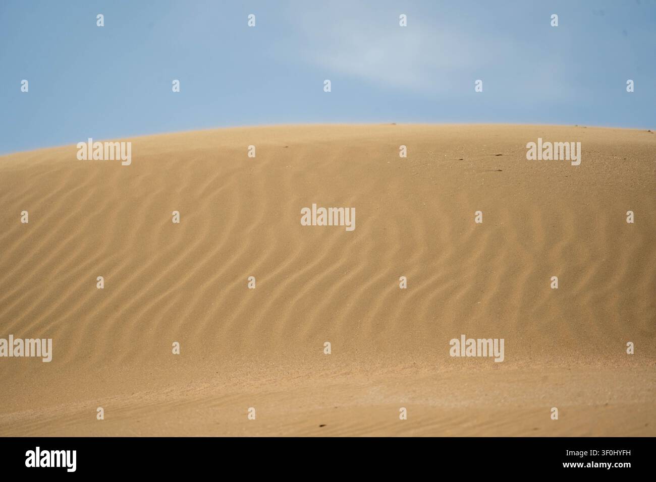 Une dune près d'IJmuiden. La dune dégage une tranquillité. Derrière la dune, un ciel bleu presque clair est visible. Le vent a créé les ondulations dans le sable. Banque D'Images