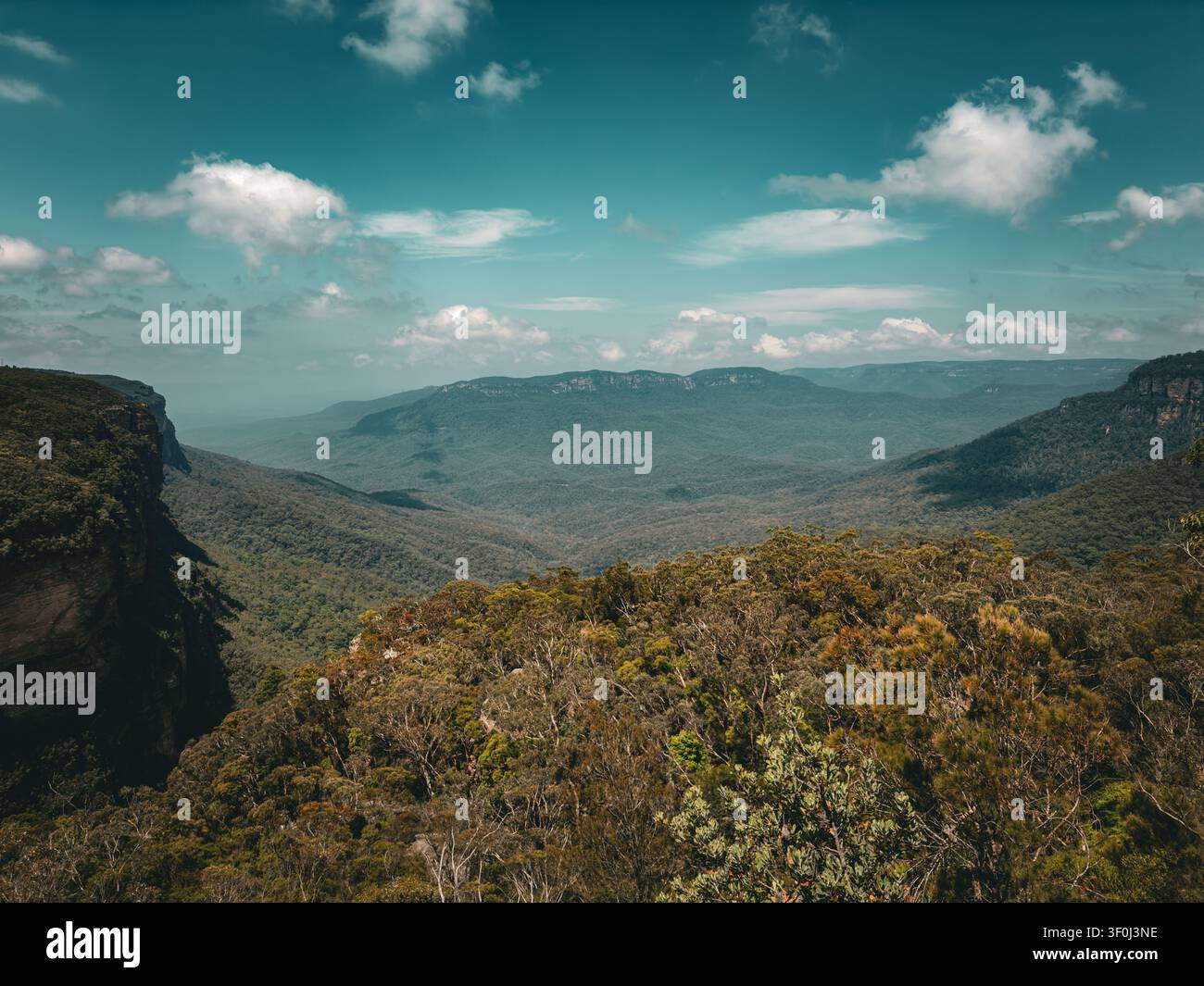 Vue sur le vaste paysage des Blue Mountains avec des falaises abruptes, des forêts d'eucalyptus denses et des vallées ondulantes sous un ciel bleu éclatant dans les Blue Mou Banque D'Images