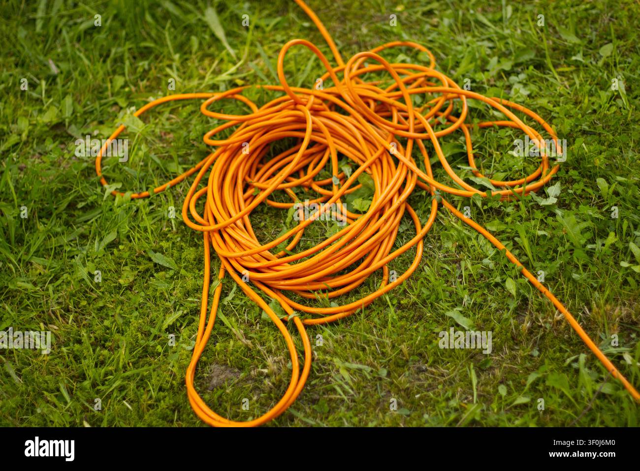 Câble d'extension orange sur de l'herbe verte Banque D'Images