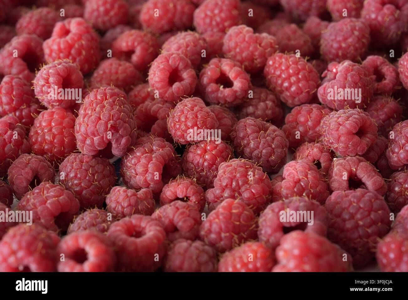 Les framboises rouges mûres close up Banque D'Images