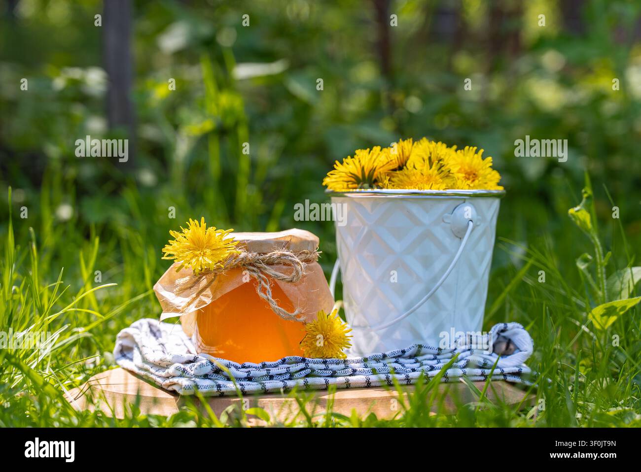 Gelée ou miel de pissenlit fait maison dans un bocal avec couvercle en tissu rustique, posé sur une planche dans l'herbe verte à côté d'un seau de fleurs fraîches, naturel ca Banque D'Images