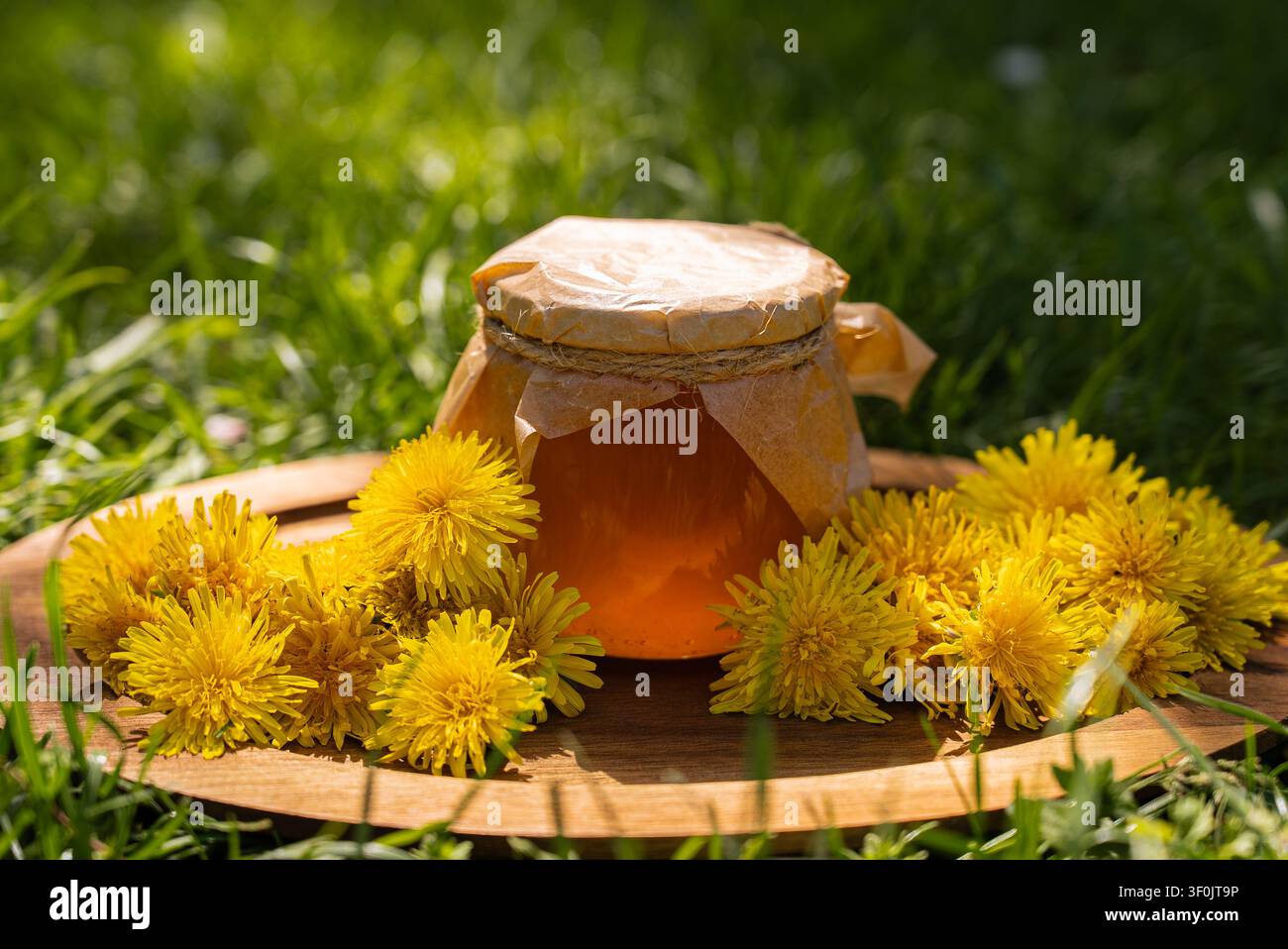 Pot rustique de gelée de pissenlit maison et de miel sur une planche en bois dans l'herbe verte, entouré de fleurs de pissenlit jaunes fraîches, mettant en valeur le conditionnement en bocaux Banque D'Images