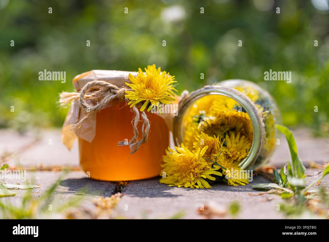Gelée de pissenlit maison et miel doré dans un bocal en verre avec des fleurs jaunes fraîches, style de mise en conserve rustique sur pierre. Spread sucré naturel et sain pour s Banque D'Images