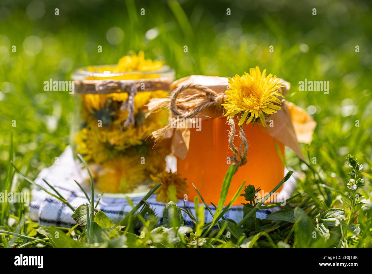 Gelée de pissenlit maison et miel dans un pot en verre avec ficelle et fleur, posés sur un tissu dans l'herbe verte en plein air. Traitement de mise en conserve rustique, santé naturelle co Banque D'Images