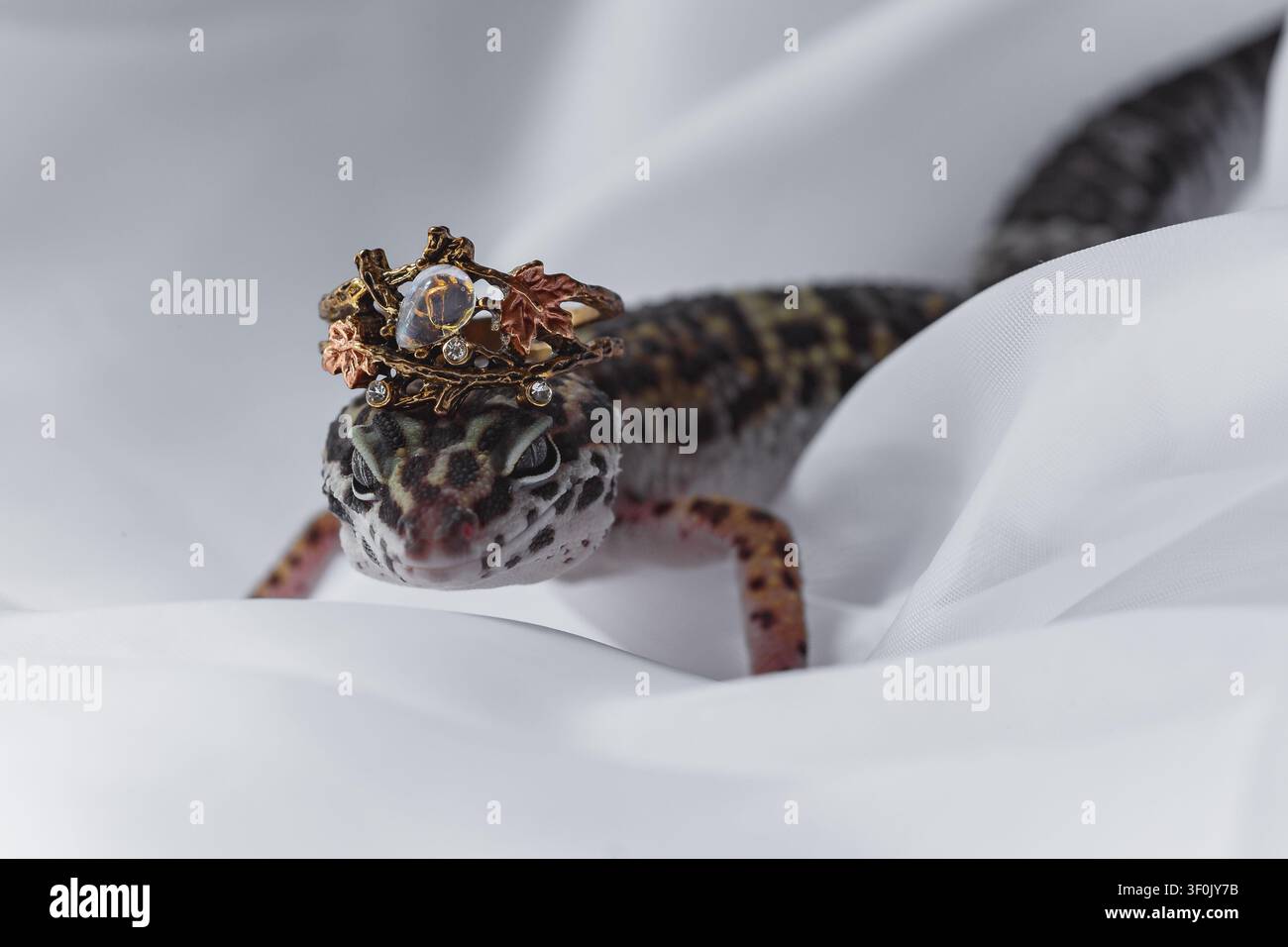 Close-up d'une lézard léopard reposant sur un tissu blanc doux, portant des bijoux de couronne ornés. Portrait de reptile avec un style fantaisiste. Banque D'Images