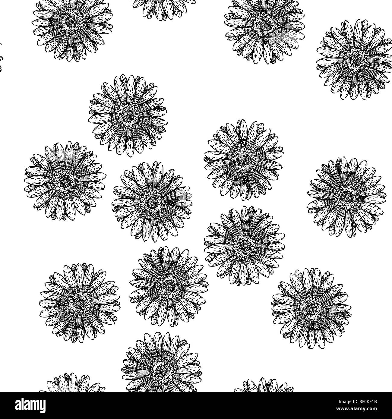 modèle sans couture fleuri gerbera marguerite dessinée à la main. bouquet pétale, fleur de jardin, nature camomille florale gerbera marguerite noir illustration croquis Illustration de Vecteur