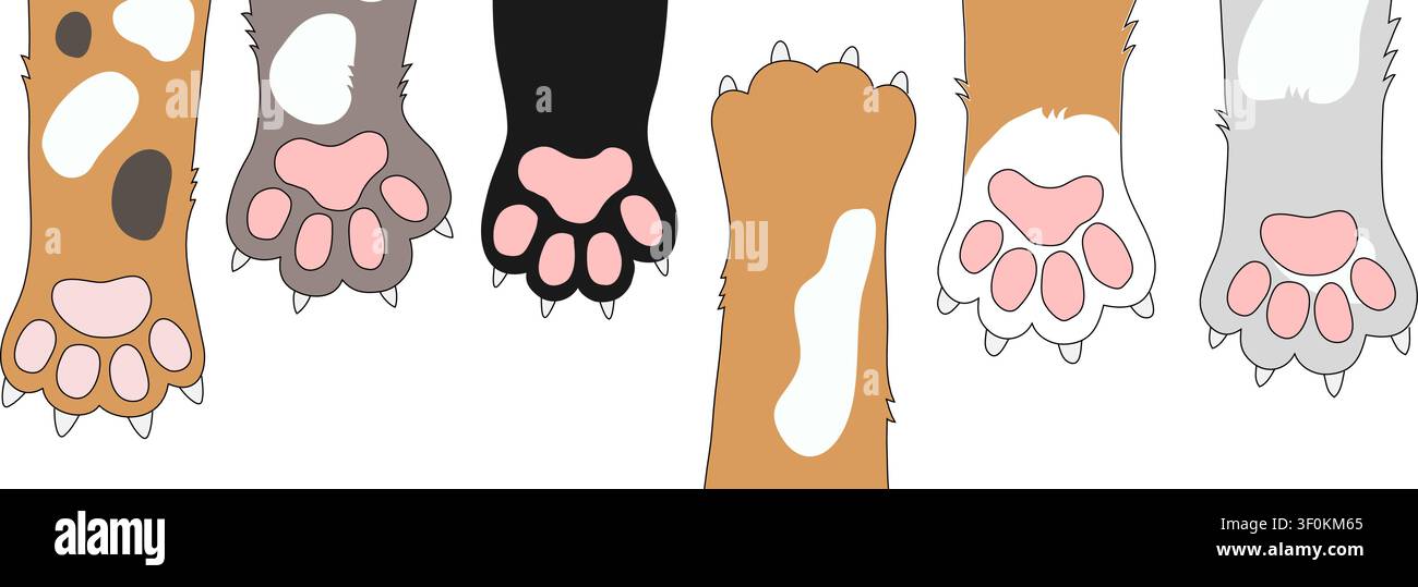 Bordure de pattes de chat drôle avec des coussinets rose doux et une fourrure duveteuse de différentes couleurs. Fond adorable pour des bannières décoratives, des invitations et des éléments ludiques Illustration de Vecteur