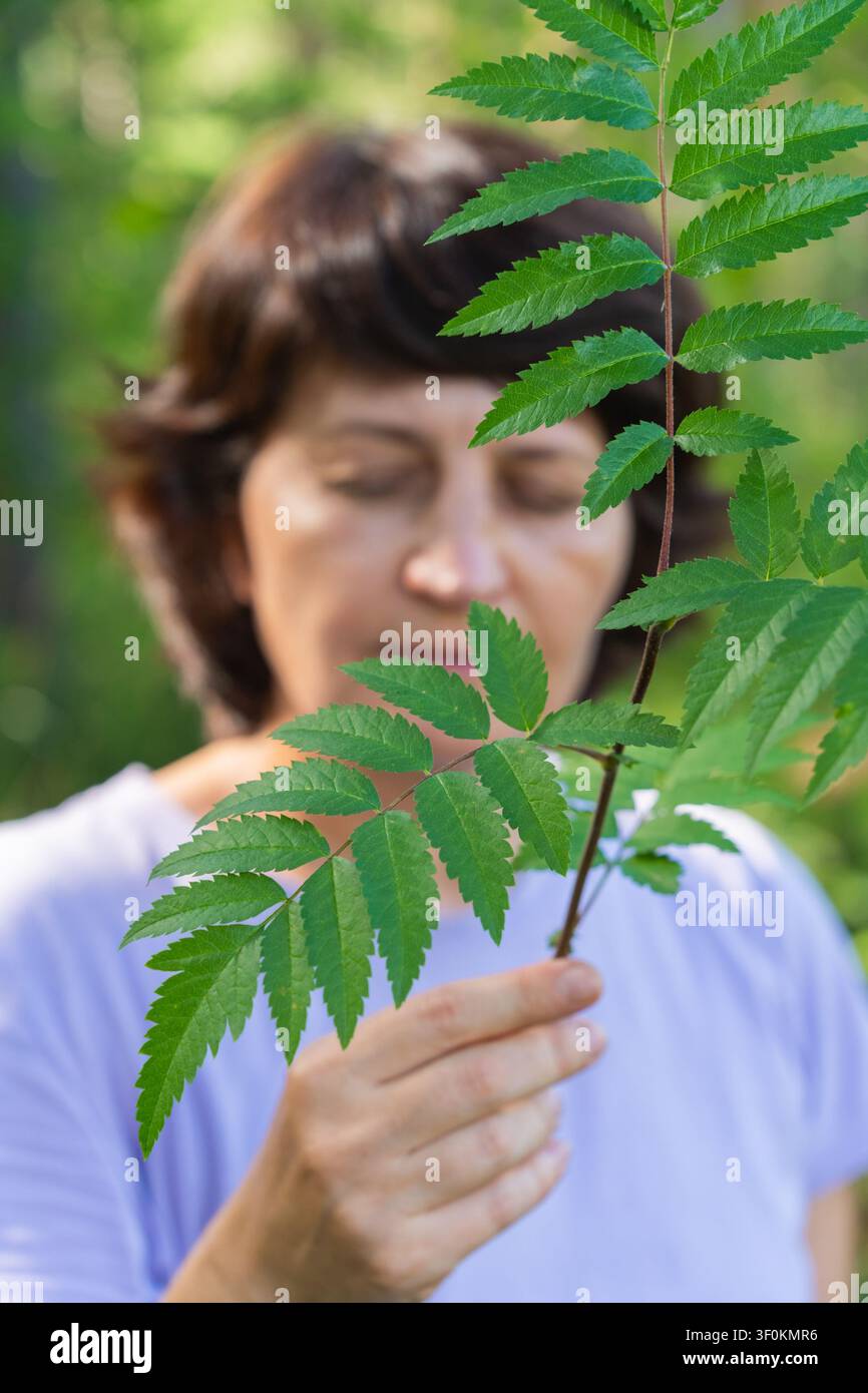 Femme caucasienne mûre observant des feuilles vertes dans la nature Banque D'Images