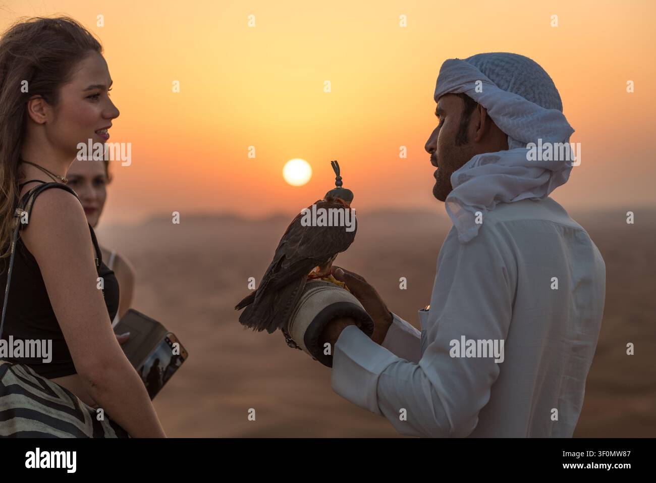 Un fauconnier émirati vêtu d'une kandoura blanche traditionnelle et d'un keffiyeh présente un faucon encapuchonné sur un gant à une touriste féminine dans un désert. Banque D'Images