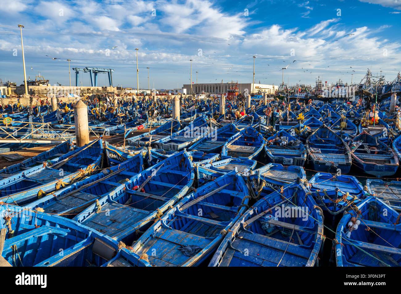 Une lumière douce du soir tombe sur des rangées de bateaux de pêche bleu pâle amarrés dans le port animé du port d'Essaouira au Maroc, en Afrique du Nord Banque D'Images
