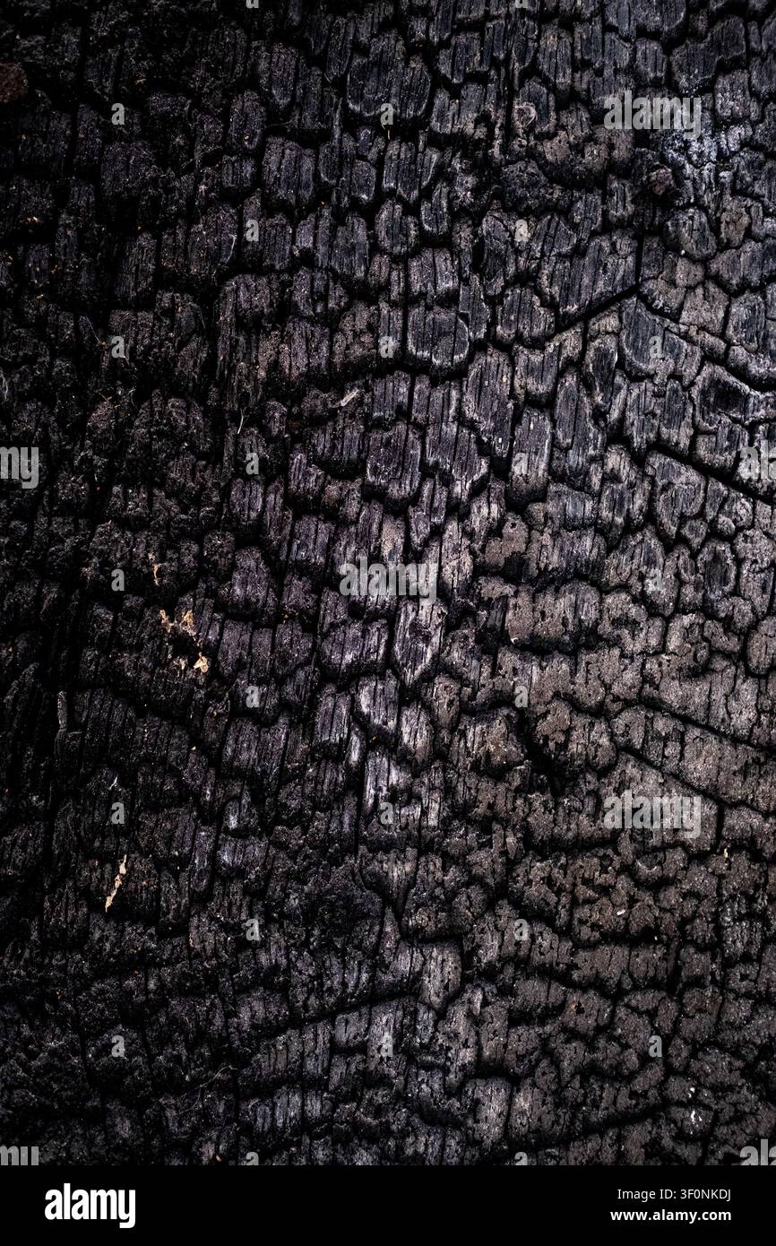 Vue rapprochée d'une texture de bois brûlé et d'une surface noircie par le carbone à l'intérieur du site de conservation et de reconstruction de la Maison de la Mere Pourcel, forme Banque D'Images
