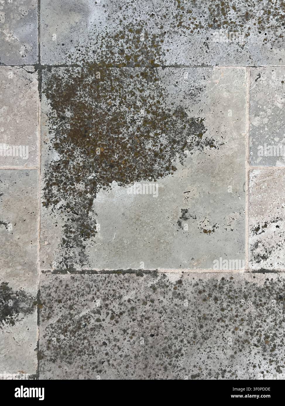 Sol en carrelage béton avec texture grunge à taches de mousse Banque D'Images