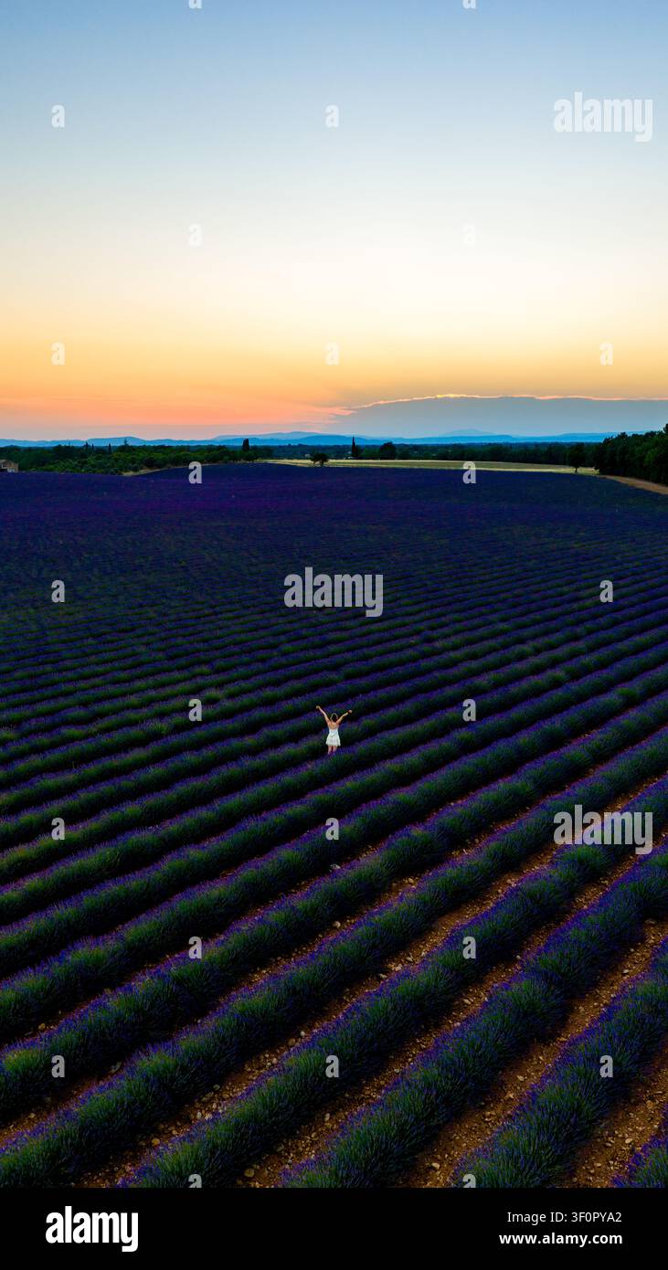 Vue aérienne d'une femme debout dans de vastes champs de lavande au coucher du soleil à Valensole, Provence-Alpes-Côte d'Azur, France. Banque D'Images