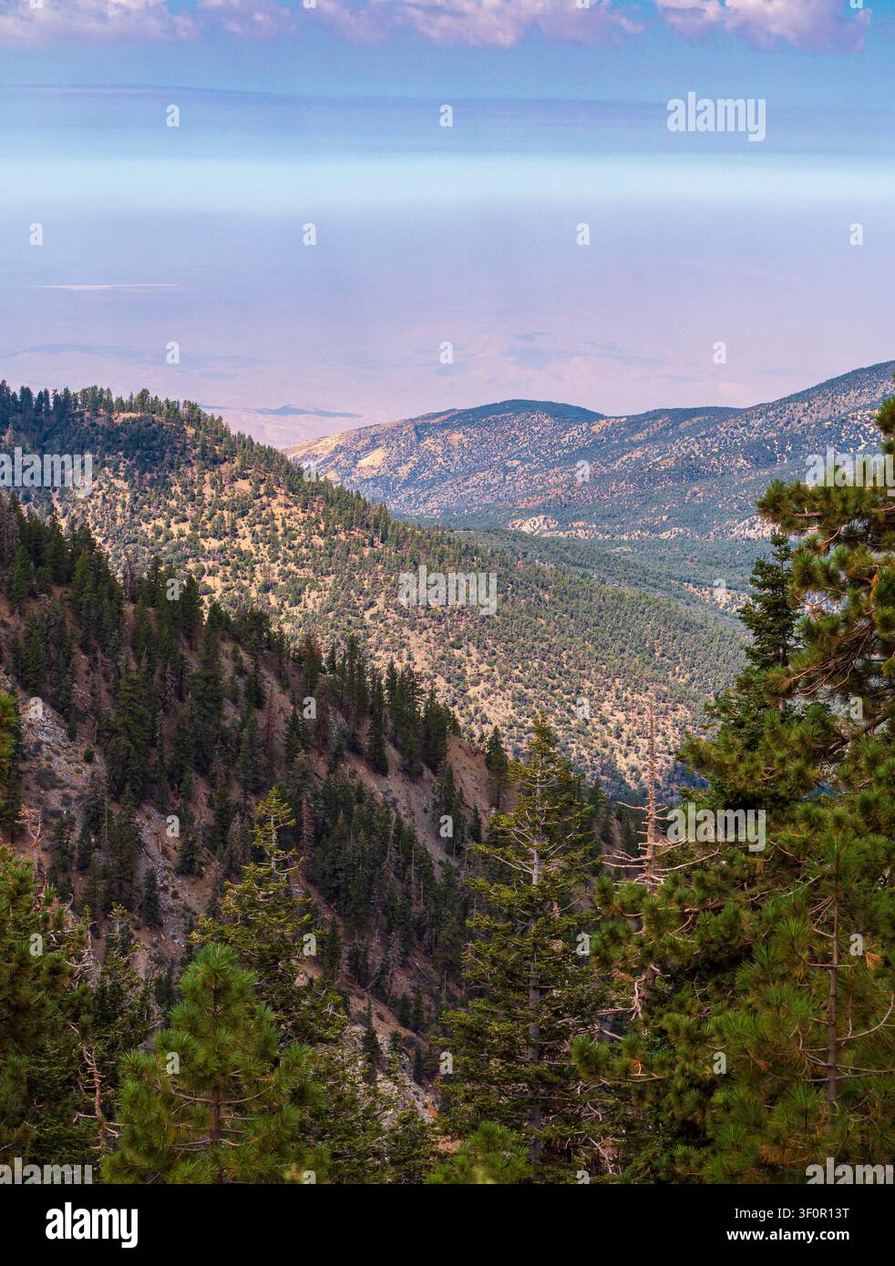 Vallée montagneuse couverte de forêt sous un ciel nuageux, montrant un paysage de nature sauvage pittoresque avec des pentes verdoyantes et une atmosphère météorologique Banque D'Images
