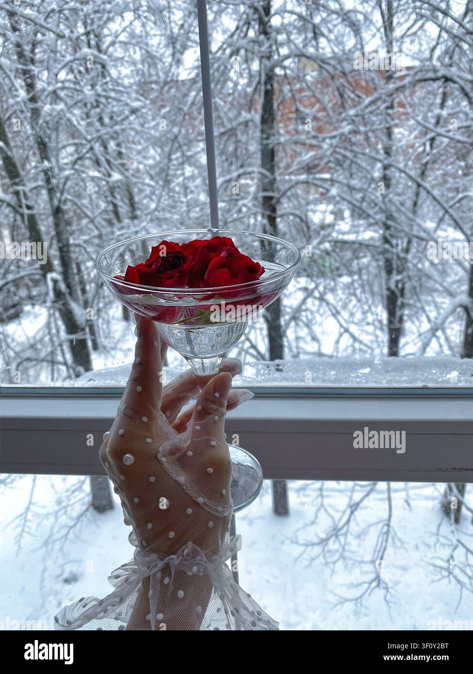 Main délicate dans un gant en dentelle tenant un verre avec des roses rouges flottantes devant un paysage hivernal enneigé. - Image de stock capturée avec un smartphone