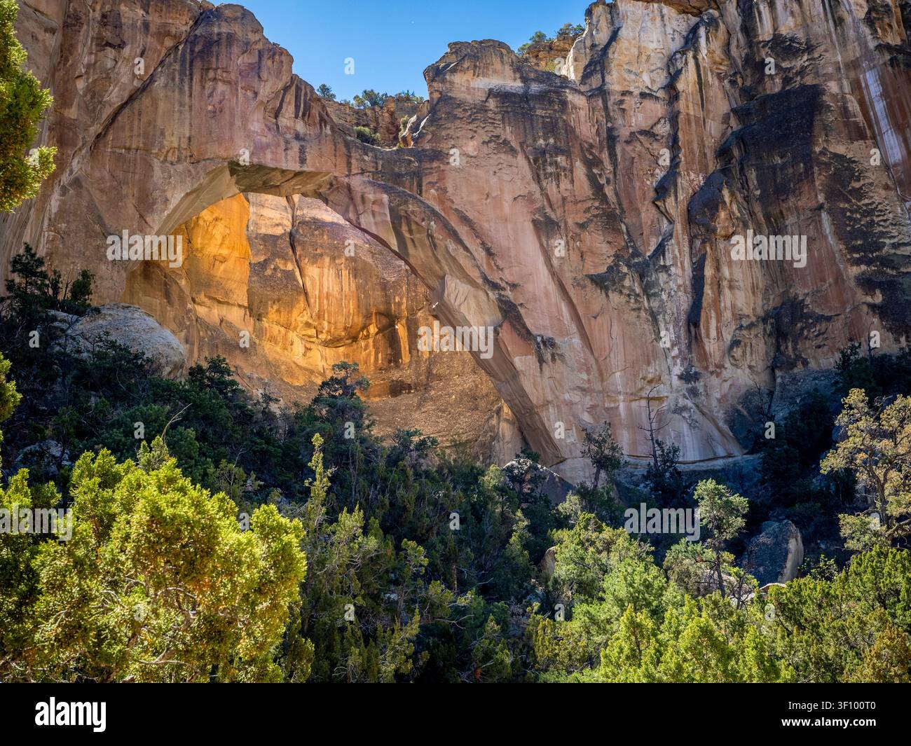 L'arc naturel de La Ventana dans le monument national d'El Malpais près de la ville de Grants au Nouveau-Mexique dans le sud-ouest des États-Unis. Banque D'Images