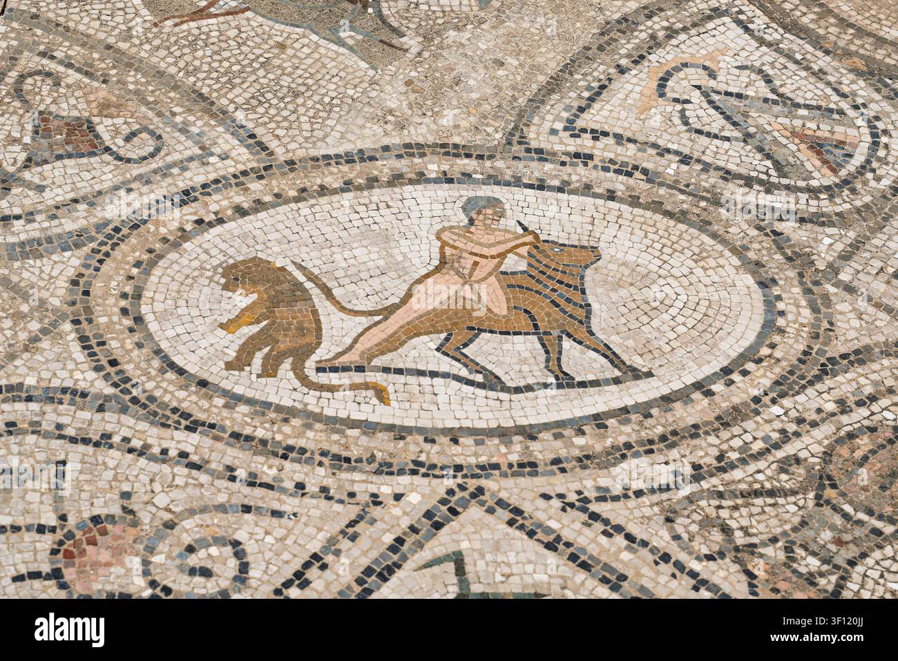 Une mosaïque représentant Hercule et le taureau de Crète de la Maison des Travaux d'Hercule à Volubilis montre une figure musclée luttant avec un taureau à l'intérieur Banque D'Images