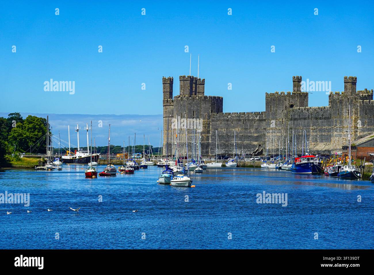 Château de Caernarfon. Été dans le nord du Pays de Galles, Snowdon, Snowdonia, Royaume-Uni Banque D'Images