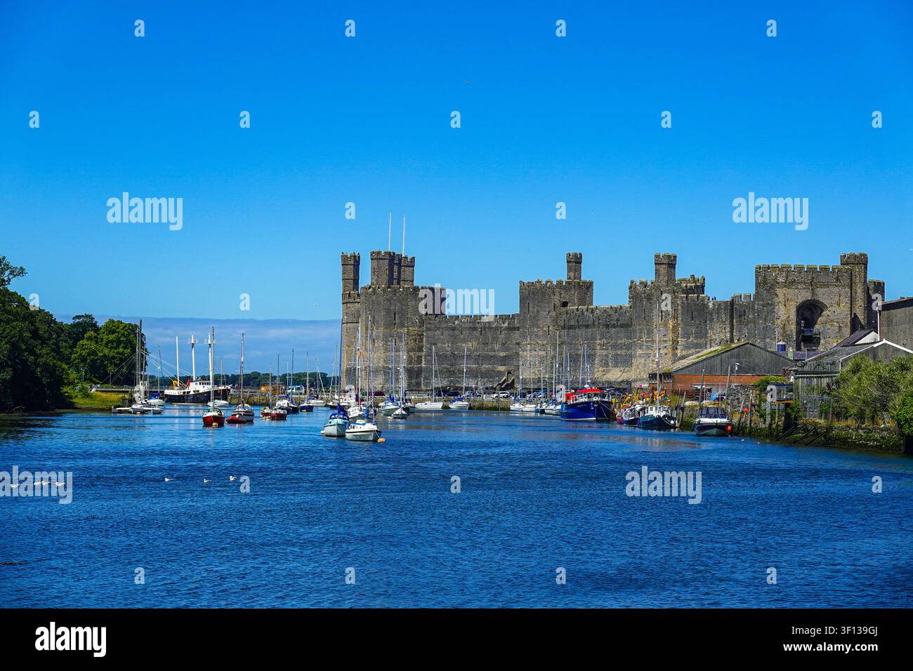 Château de Caernarfon. Été dans le nord du Pays de Galles, Snowdon, Snowdonia, Royaume-Uni Banque D'Images