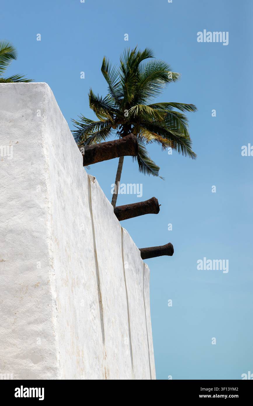 Canons historiques montés sur un mur de forteresse sous un palmier, château d'Elmina, Ghana Banque D'Images